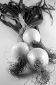 Three Onions