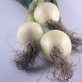 Three Onions