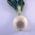 One Onion
