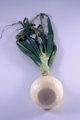 One Onions