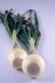 Two Onions