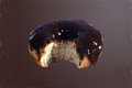 Chocolate Covered Donut