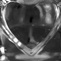 Glass Heart