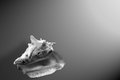 Conch