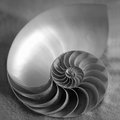 Inside of Nautilus