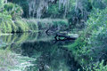 Log in River