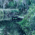 Log in River