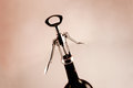 Opening Wine