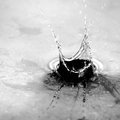 Drop