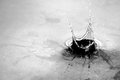 Drop