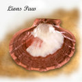 Lions Paw
