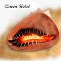Queens Helmet
