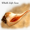 Whelk Left Turn