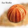Urchin