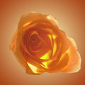 Samon Rose