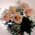 Rose Bouquet