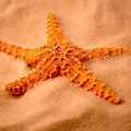 Starfish