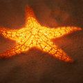 Glowing Starfish