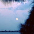 Full Moon