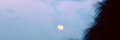 Full Moon