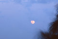 Full Moon