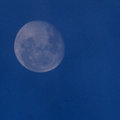 Full Moon