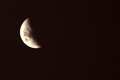 Quarter Moon