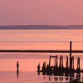 Old Pier