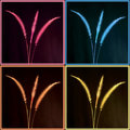 Four Colored