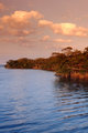 Bay
