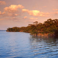 Bay