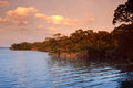 Bay