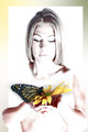 Loving Butterfly