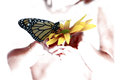 Butterfly in hand