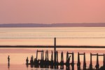 Old Pier
