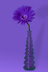 Purple purple