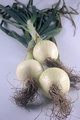 Three Onions