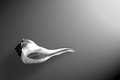 Whelk Left Turn