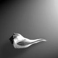 Whelk Left Turn (square)
