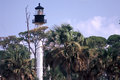 Cape San Blas