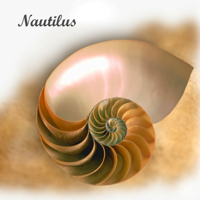 Inside of Nautilus