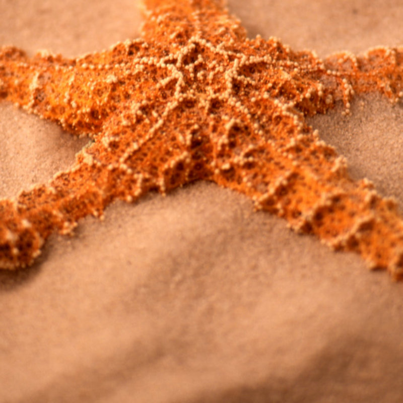 Starfish