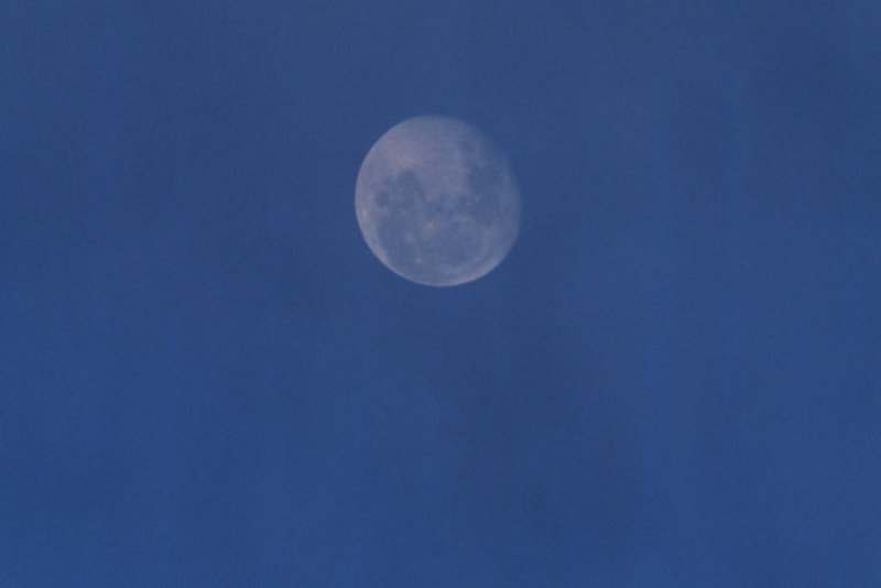 Full Moon