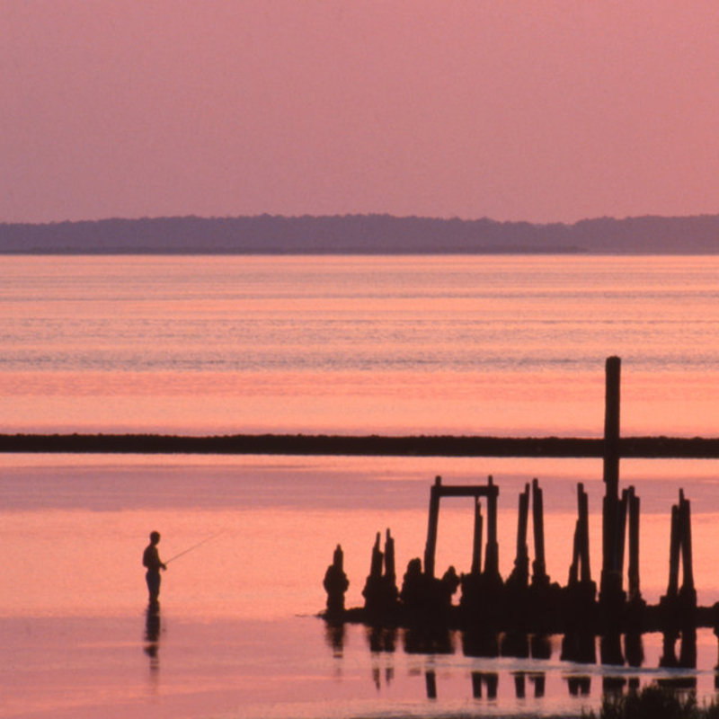 Old Pier