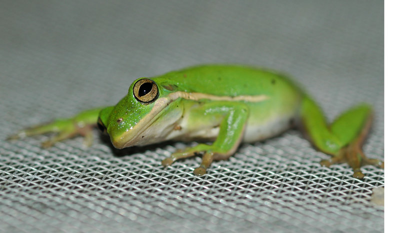DSC_0007_1.JPG