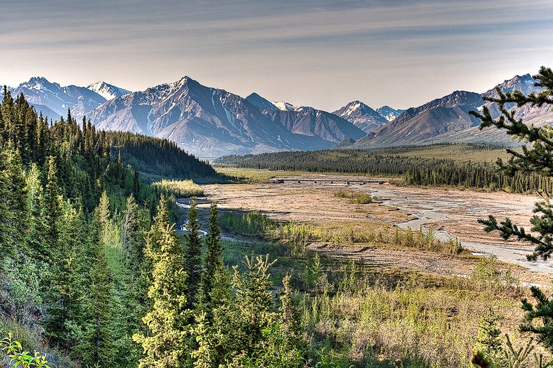 Teklanika River