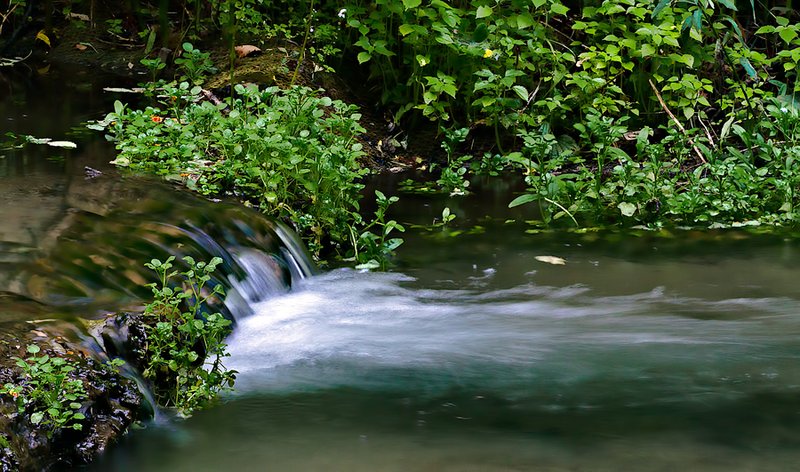 Week 34-Falls