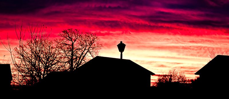 Week 46 November Dawn