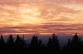 sunrise june18.jpg