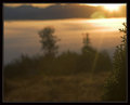 sunrise web 211-01.jpg